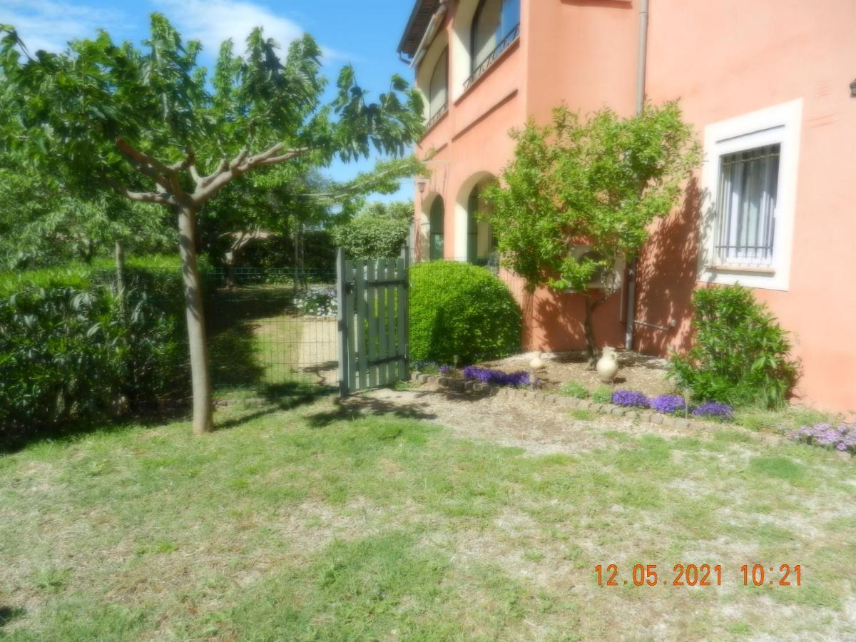L'oliveraie * Draguignan