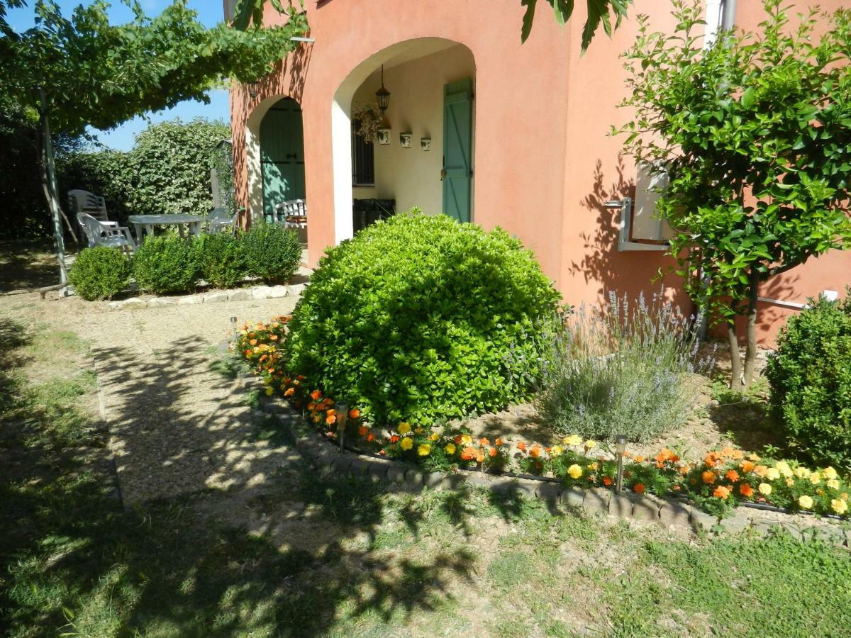 L'oliveraie *